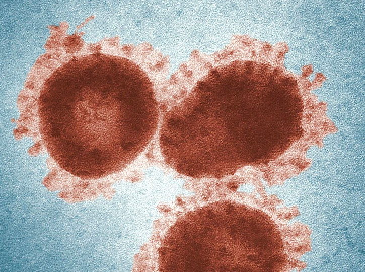 stats and resources on covid-19